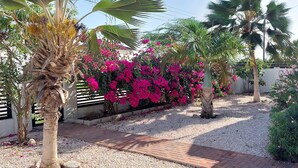 Ein Garten mit Palmen und rosafarbenen Blumen, einem Pflasterweg und einem weißen Gebäude.