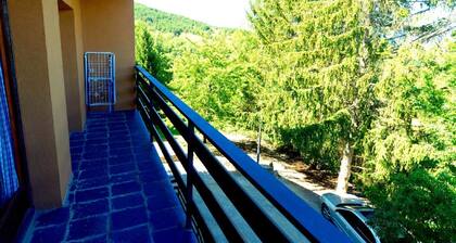 Apartment 2 rooms Fireplace, Football Pitch & Terrace