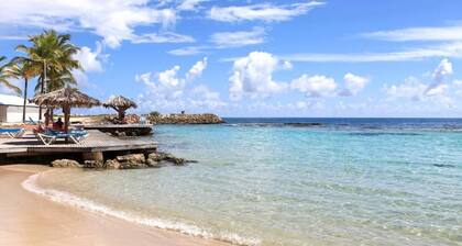 Studio SEA VIEW, beach and pool 100 m away