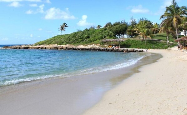 En la playa y camastros 