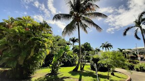 Un jardín tropical con palmeras y abundante vegetación.