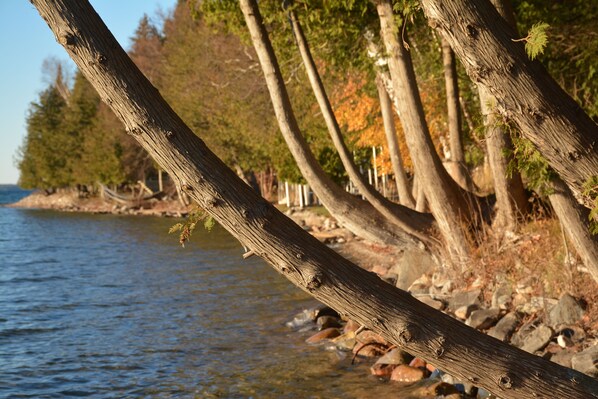 A wooden log lying across a rocky shoreline with trees in the background.