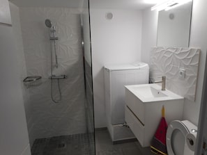 Shower, hair dryer, towels
