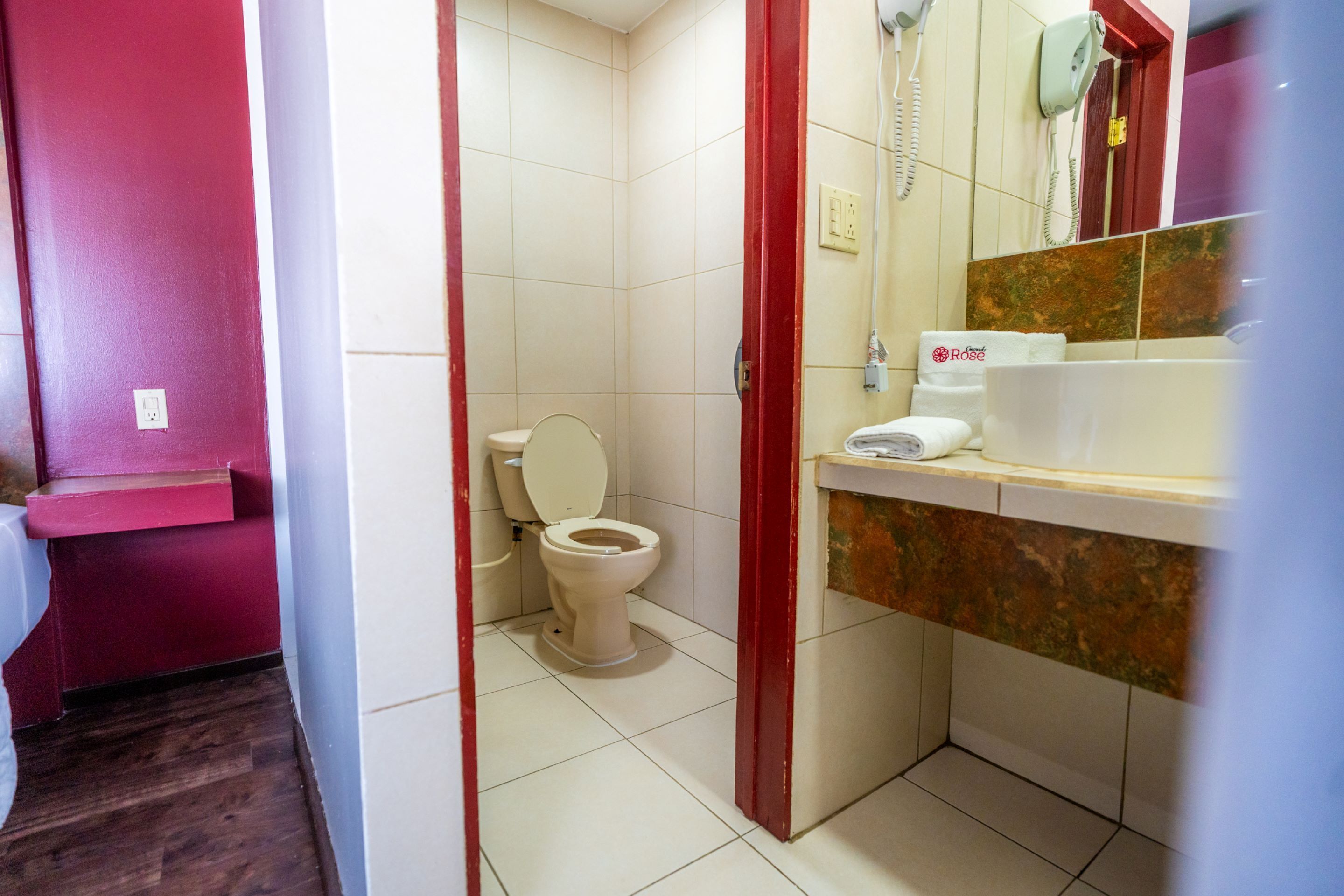 Un bagno con il water, un lavandino e una doccia.