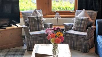 Télévision, cheminée, livres