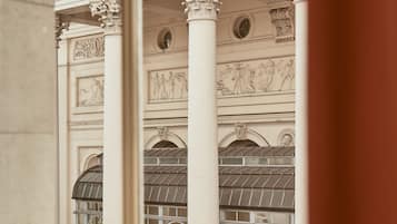 Egyptiske bomuldslagner, premium-sengetøj, dundyner