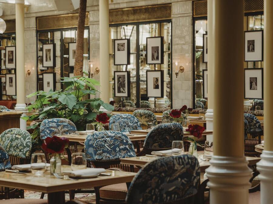 A dining area with tables set for a meal, framed pictures on the walls, and a large plant in the center.