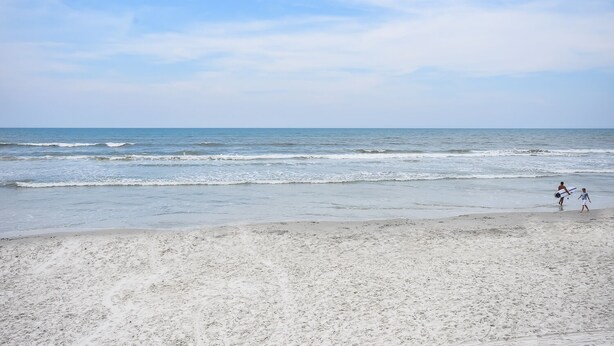 A beach with a sandy shore and gentle waves.