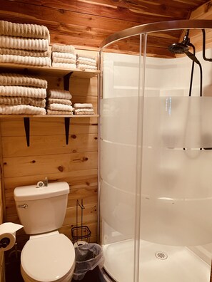 Regadera, secadora de cabello, toallas, papel de baño 