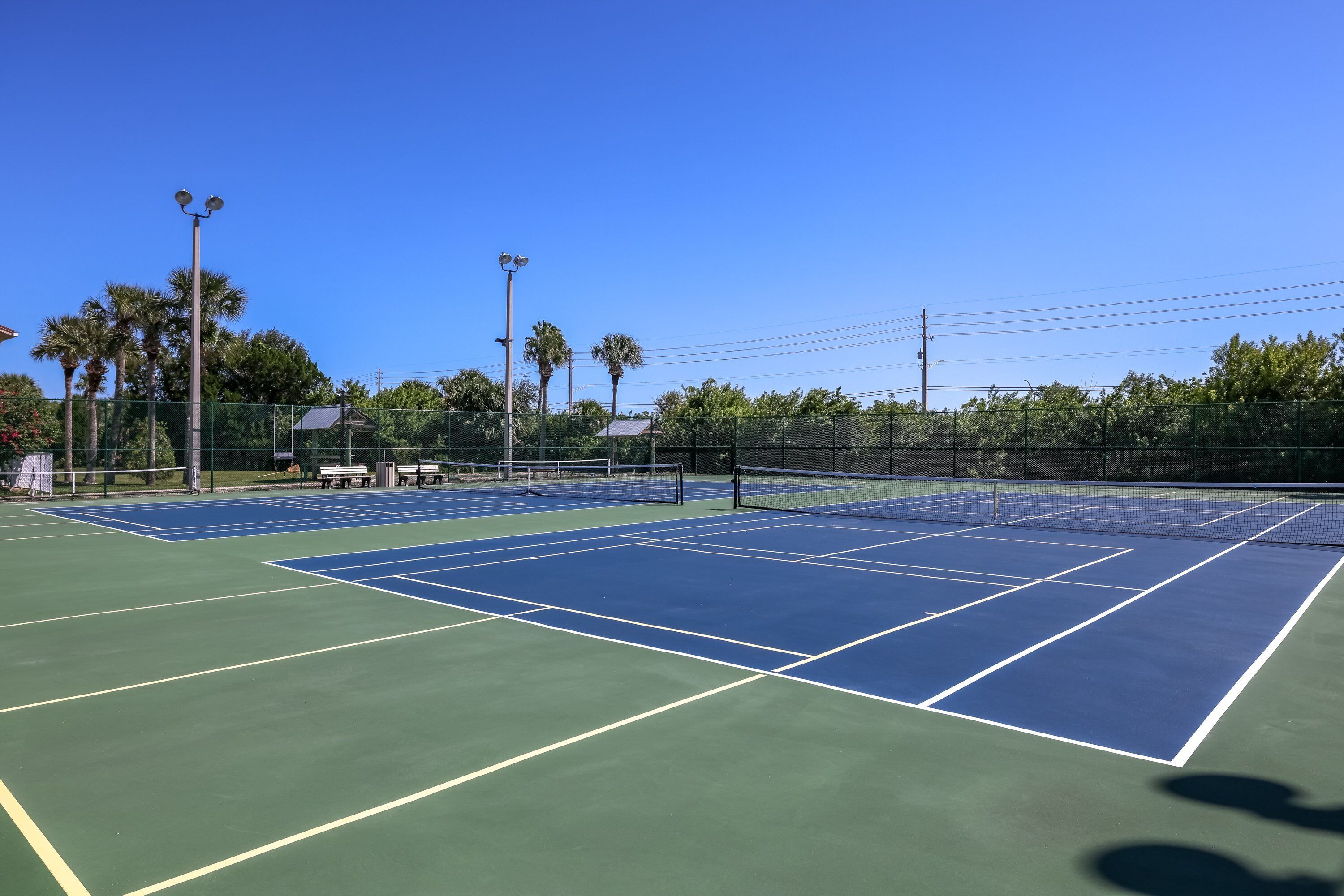 A tennis court with a net, surrounded by a fence, and palm trees in the background.