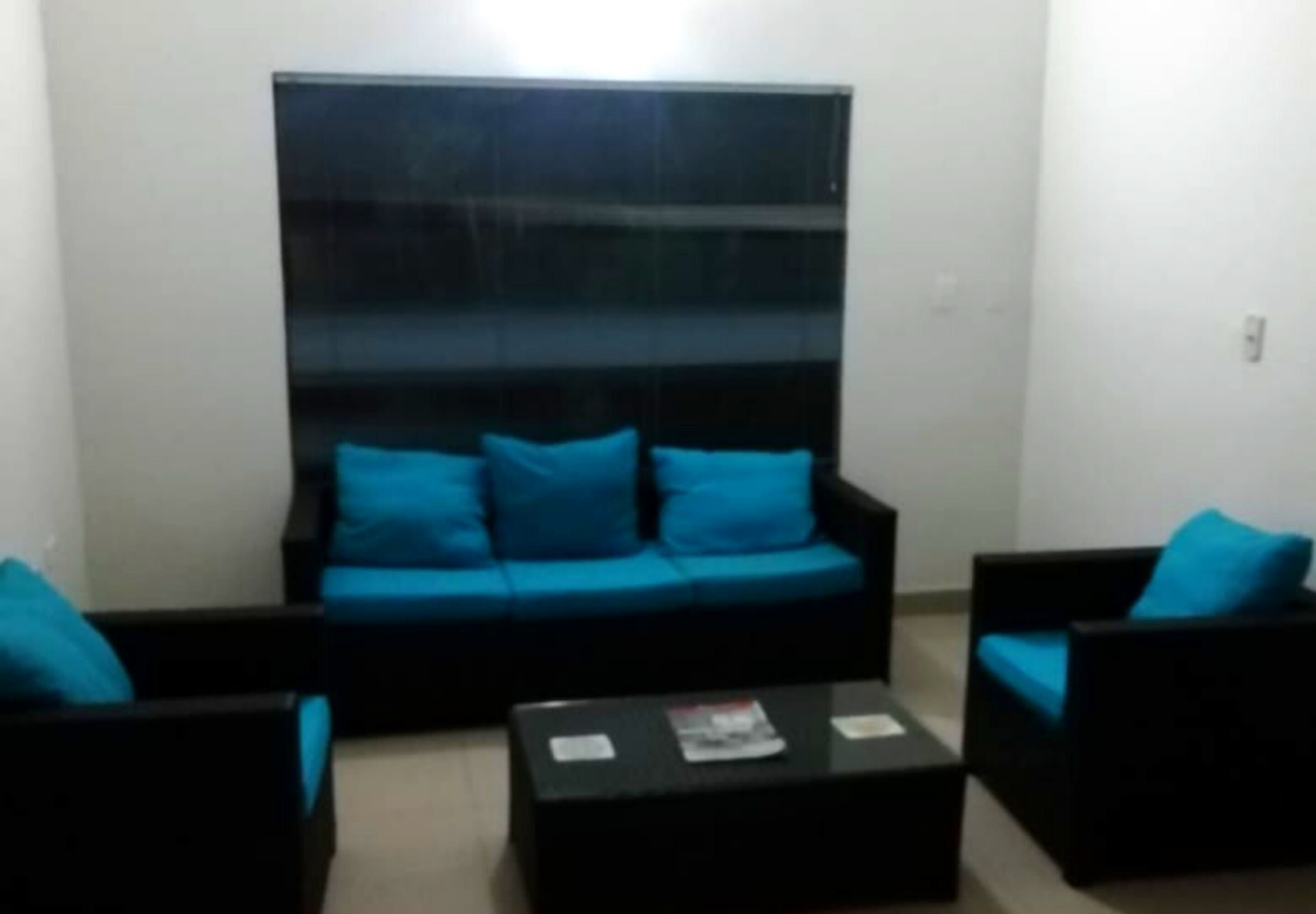 21-inch flat-screen TV with satellite channels, TV