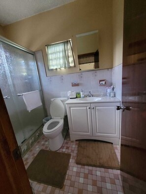 Dusche, Haartrockner, Handtücher, Toilettenpapier