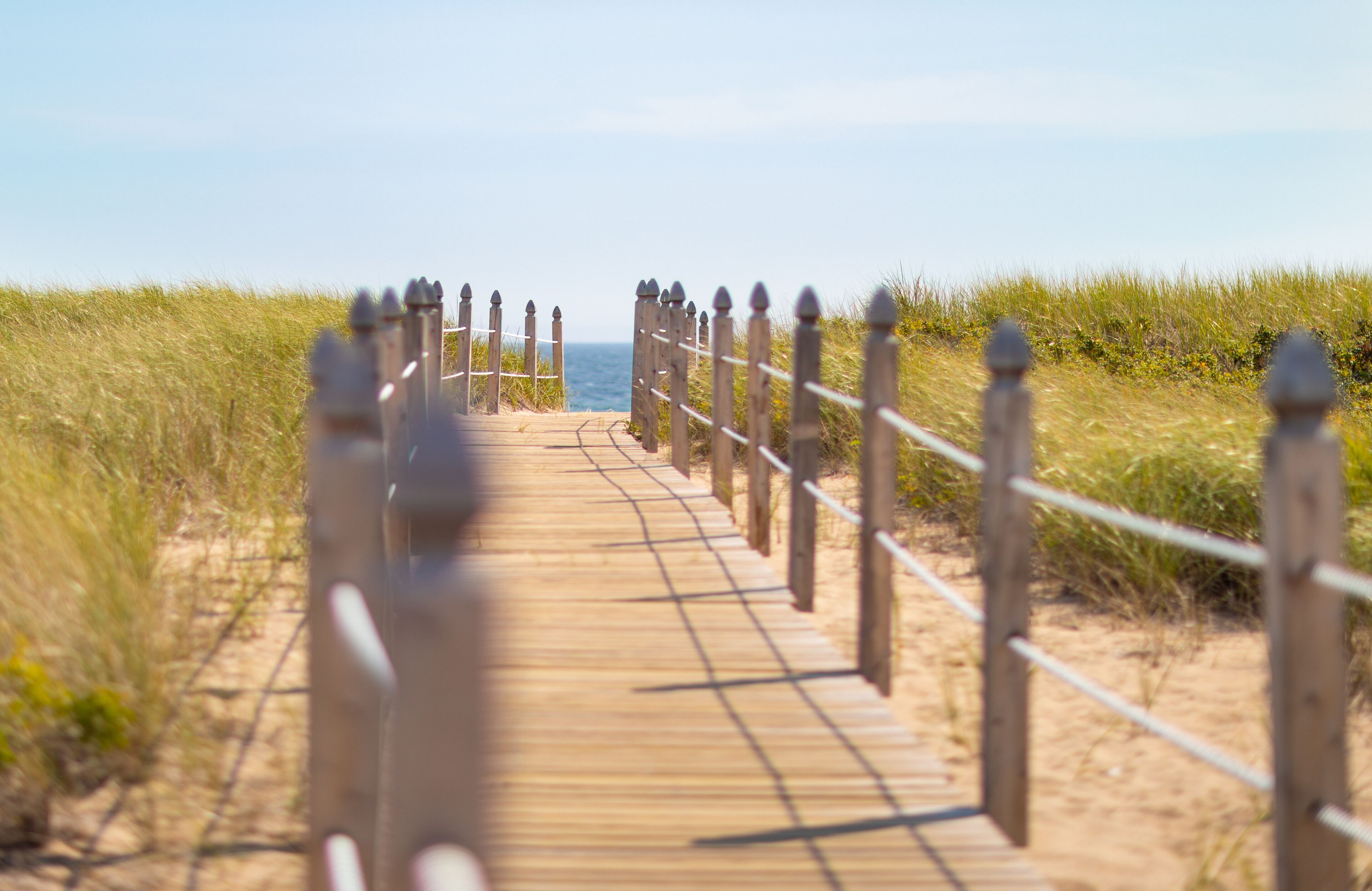 A wooden boardwalk leading to the beach, surrounded by tall grass and a clear sky.