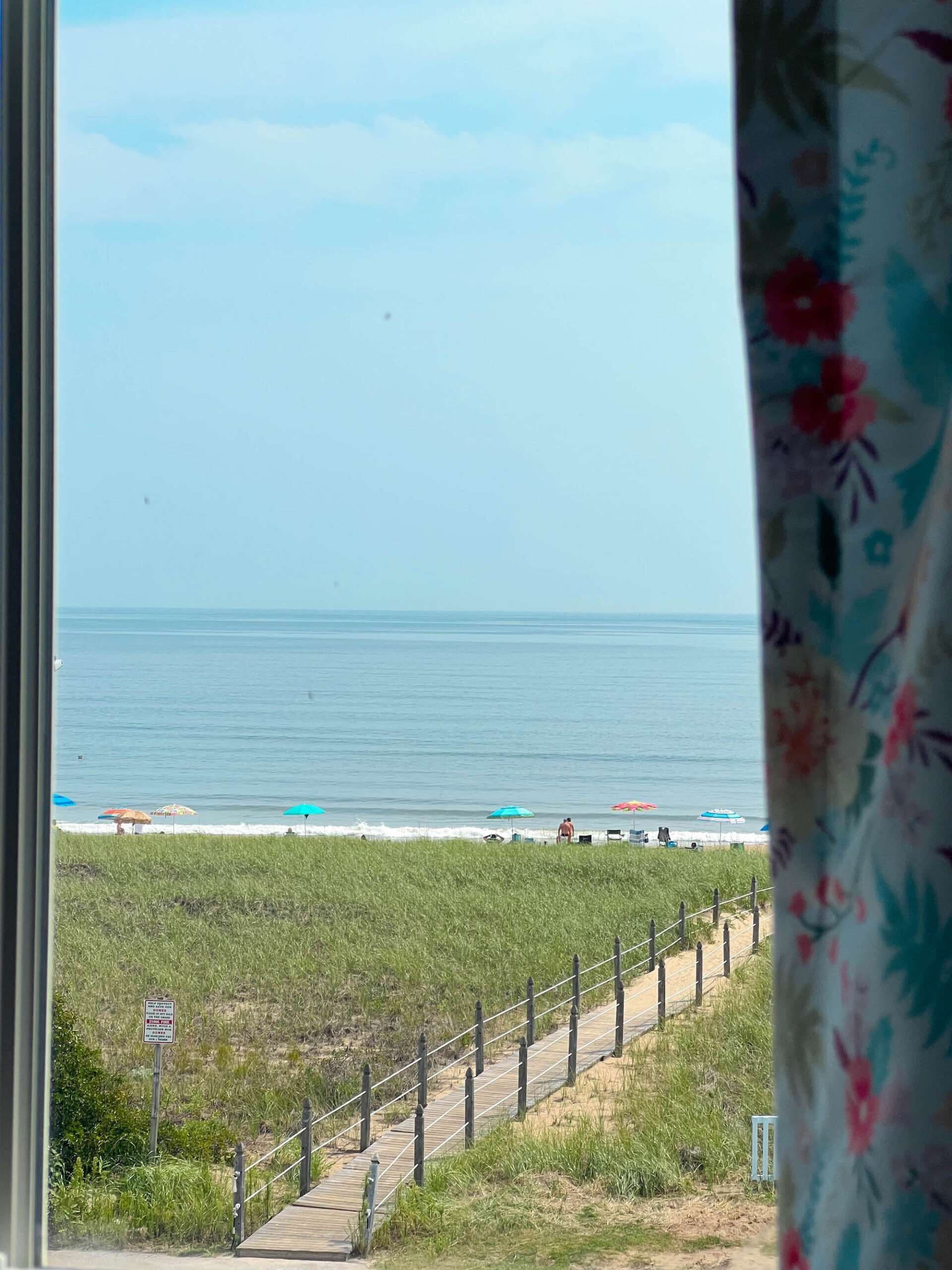 Vista desde la habitación
