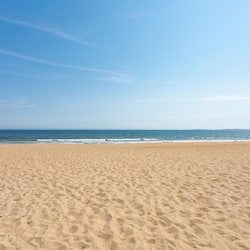 Accommodatie ligt op het strand