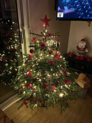 A Christmas tree with lights and ornaments, a star on top, and a television in the background. - House With Direct Sea Access On 18000 M2 Of Woodland (Argol)