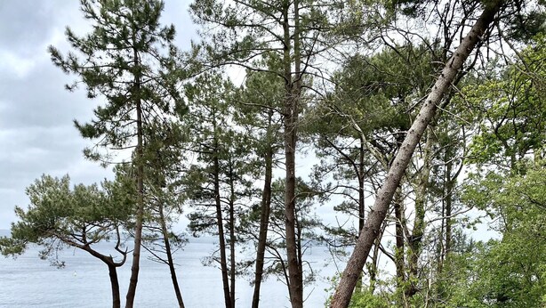 A wooden deck with a table and benches, overlooking a body of water with trees in the background.