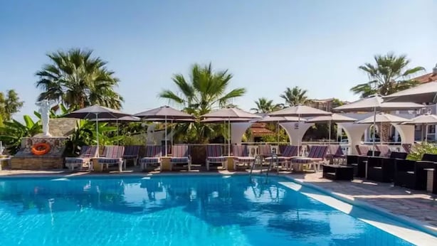 A swimming pool with lounge chairs and umbrellas, surrounded by palm trees.