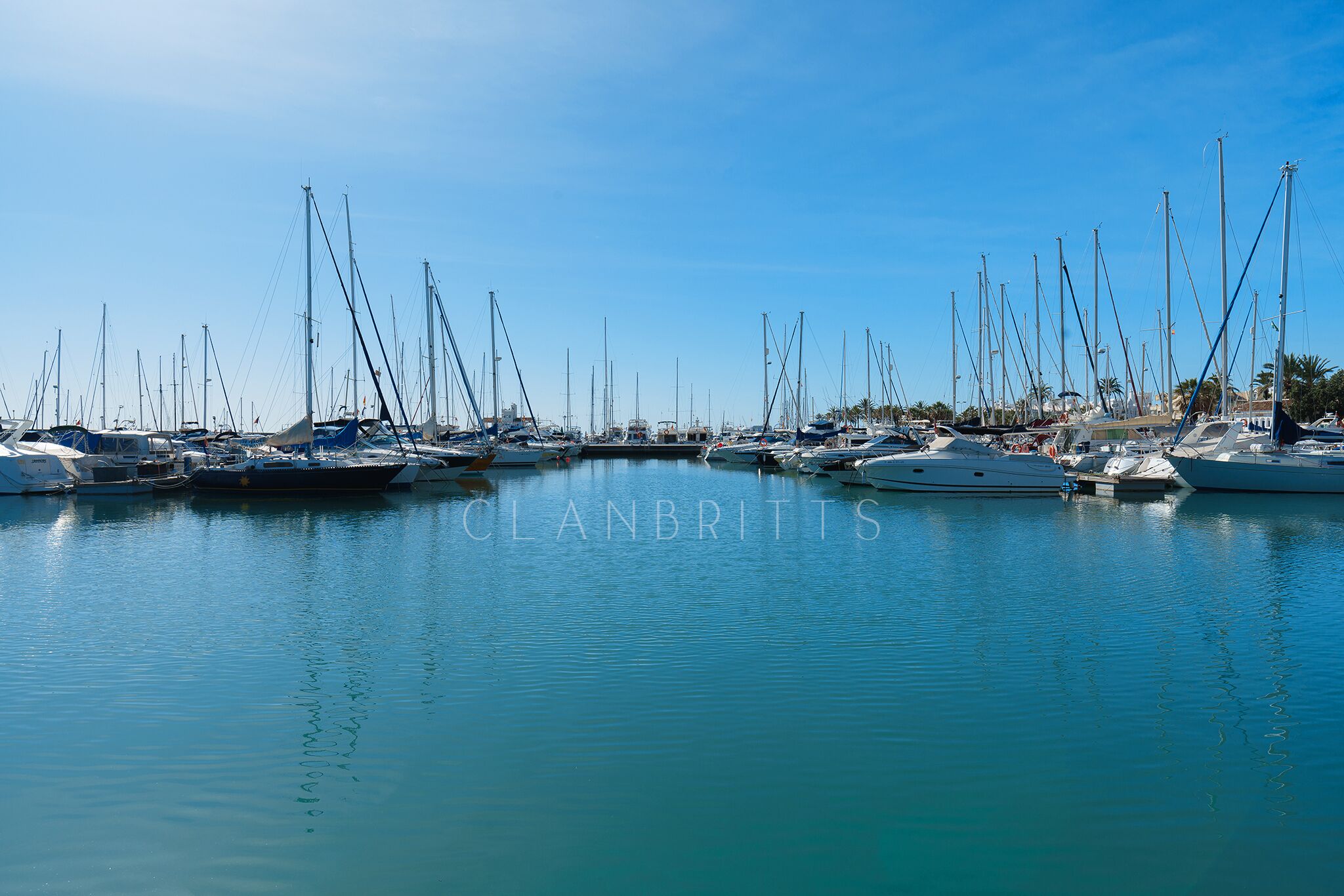 Un port de plaisance où de nombreux bateaux sont amarrés.