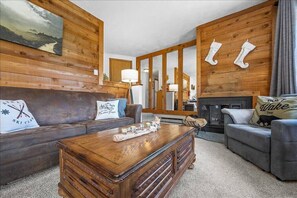 Télévision, cheminée, lecteur de DVD