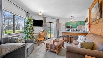 TV, fireplace, DVD player