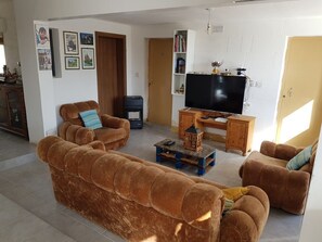 Smart TV, lareira, livros, biblioteca musical