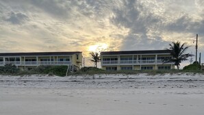 A beach with footprints, a building with balconies, and a palm tree.