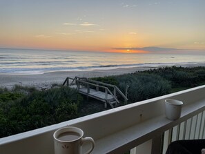 Property grounds - Oceanfront 3-story luxury 3-bedroom 2-bath with direct access to pristine beach (Melbourne Beach)