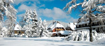 Ferienwohnung Bärenhofweg am Titisee