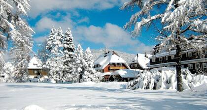 Ferienwohnung Bärenhofweg am Titisee