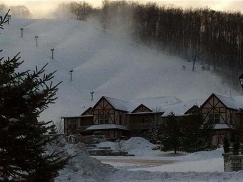 1 Bedroom Villa at Mountain Run at Boyne Mountain