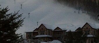 1 Bedroom Villa at Mountain Run at Boyne Mountain