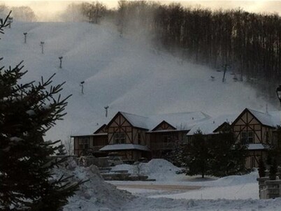 1 Bedroom Villa at Mountain Run at Boyne Mountain