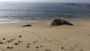 A beach with footprints and a large rock in the sand.
