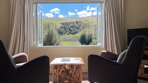 スマートテレビ、暖炉、書庫、ステレオ