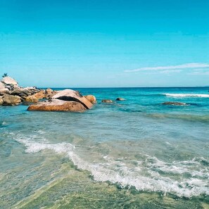 Playa en los alrededores y camastros 