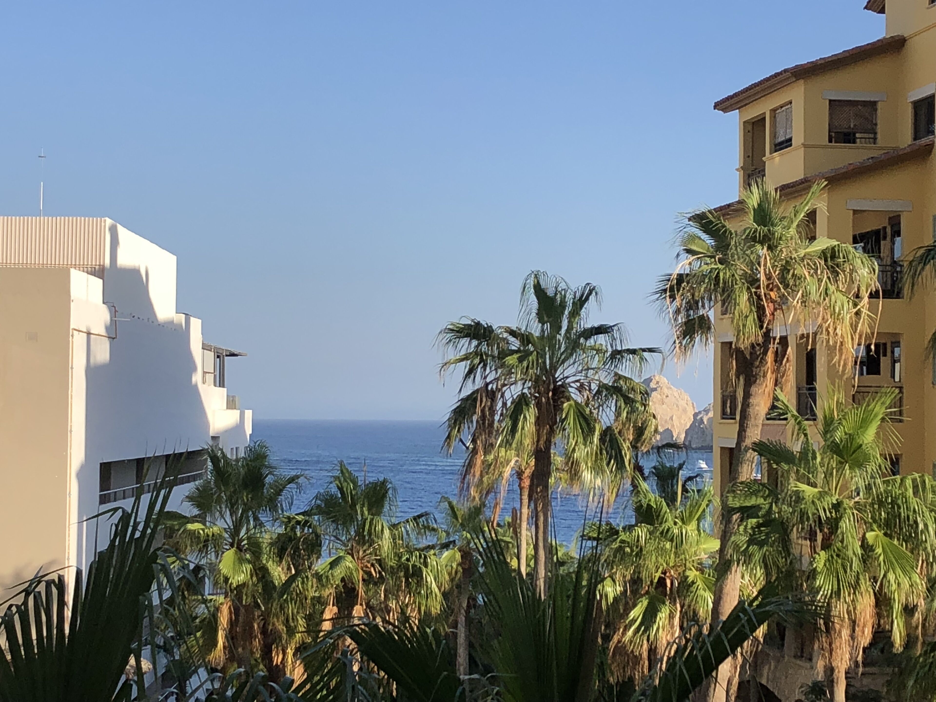 A coastal building with a view of the sea, surrounded by palm trees.