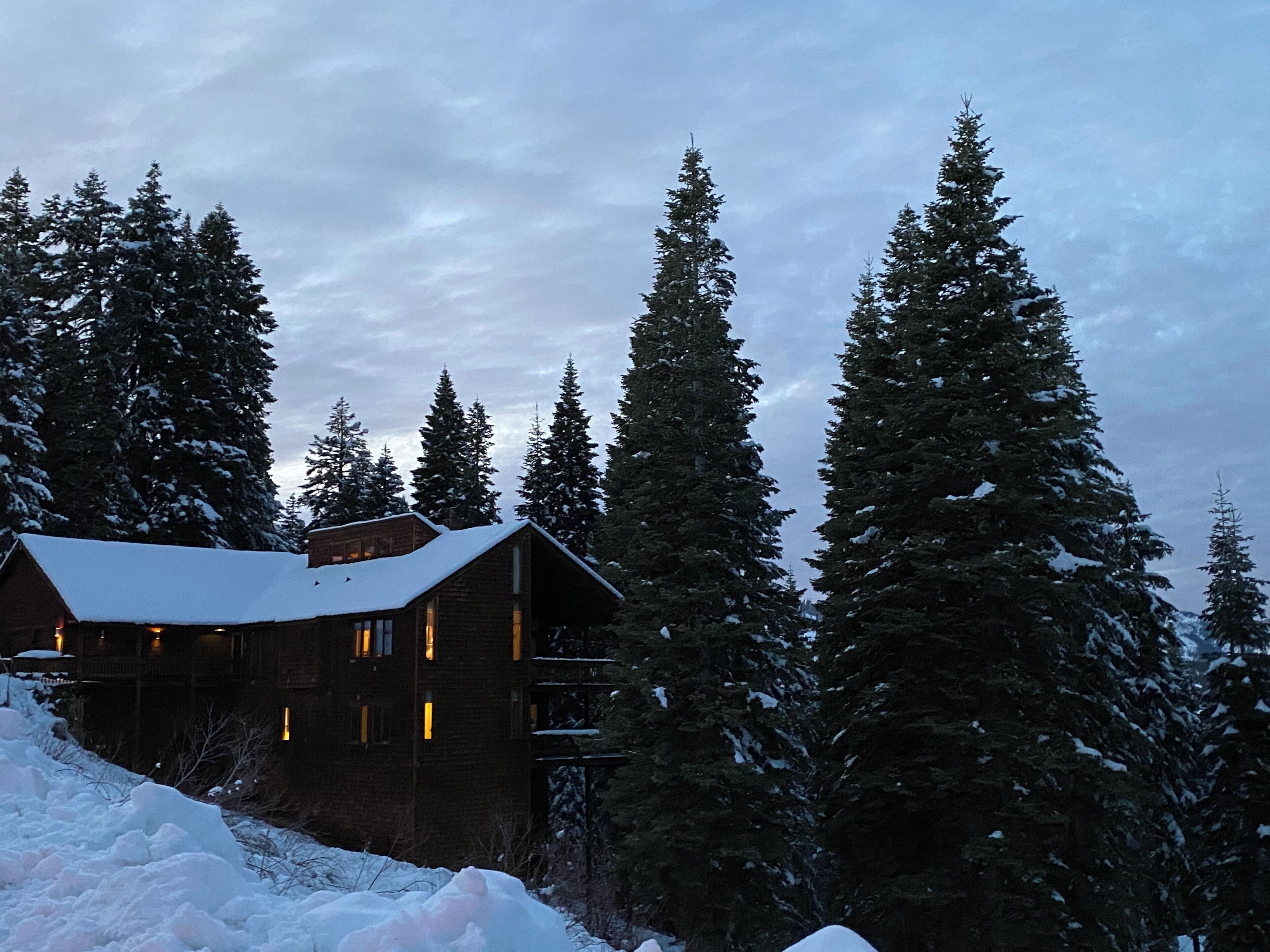 A log cabin with a snow-covered roof, surrounded by tall evergreen trees.