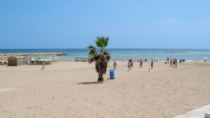Ein Strand mit einer Palme, Liegestühlen und einem Volleyballnetz.