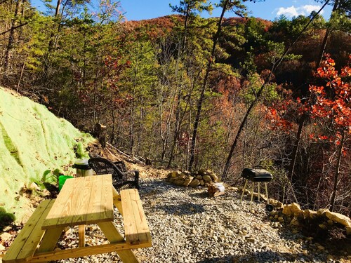 Cozy, absolutely secluded Mountain Cabin,Pet Friendly,spectacular Views,hiking