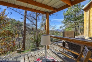 Property grounds - Cozy, absolutely secluded Mountain Cabin,Pet Friendly,spectacular Views,hiking (Newport)