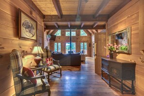 Télévision, cheminée, jeux vidéo, table de tennis de table