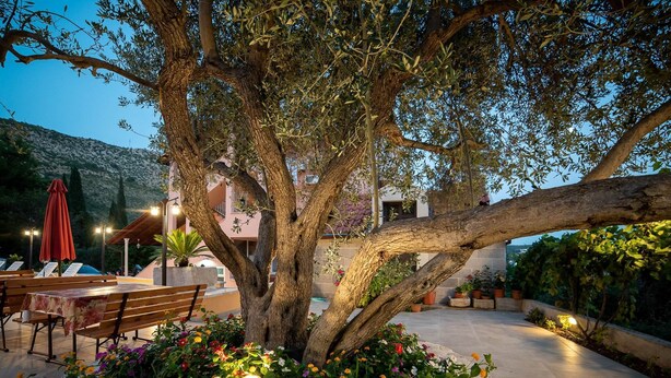 Un área de estar al aire libre con mesas y bancos bajo un árbol grande, rodeada de flores coloridas y plantas en macetas.