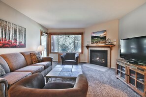 TV, fireplace, DVD player