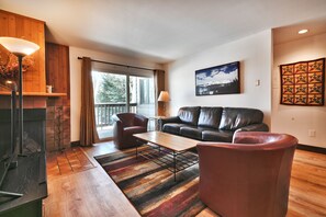 TV, fireplace, DVD player