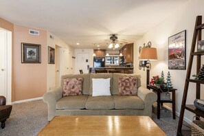 TV, fireplace, DVD player