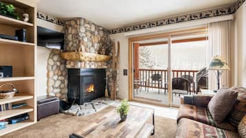 Televisión, chimenea y reproductor de DVD