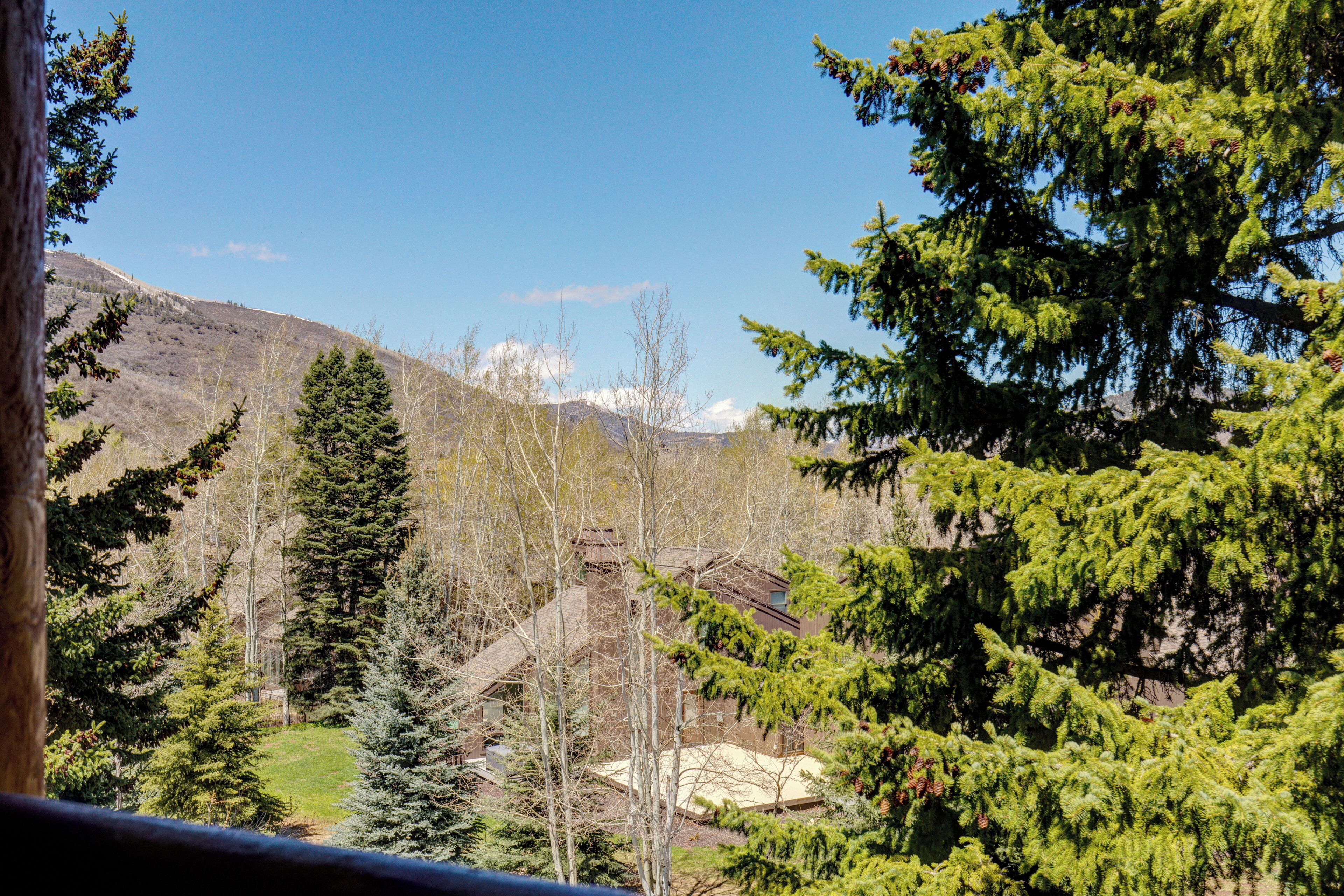 A mountainous landscape with a house surrounded by evergreen trees.