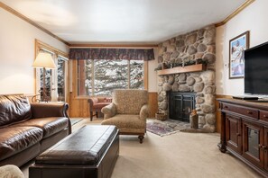 TV, fireplace, DVD player