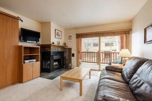 TV, fireplace, DVD player